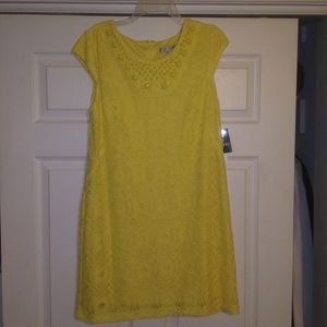 New~ Sandra Darren Dress